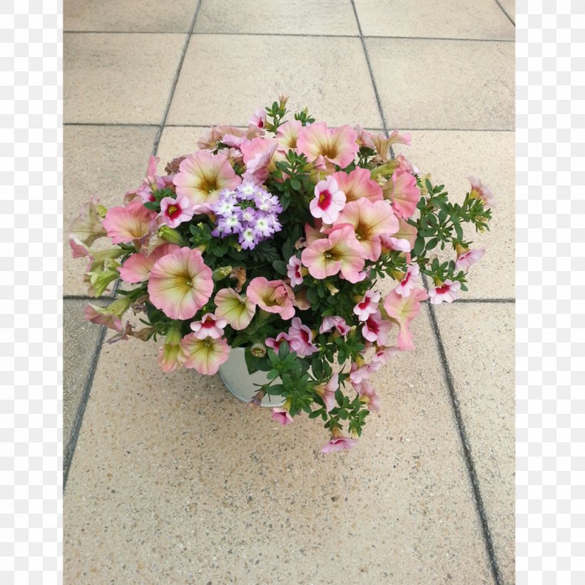 Garden Petunia Annual Plant Bidens Ferulifolia, PNG, 1200x1200px, Garden, Annual Plant, Artificial Flower, Balcony, Cut Flowers Download Free