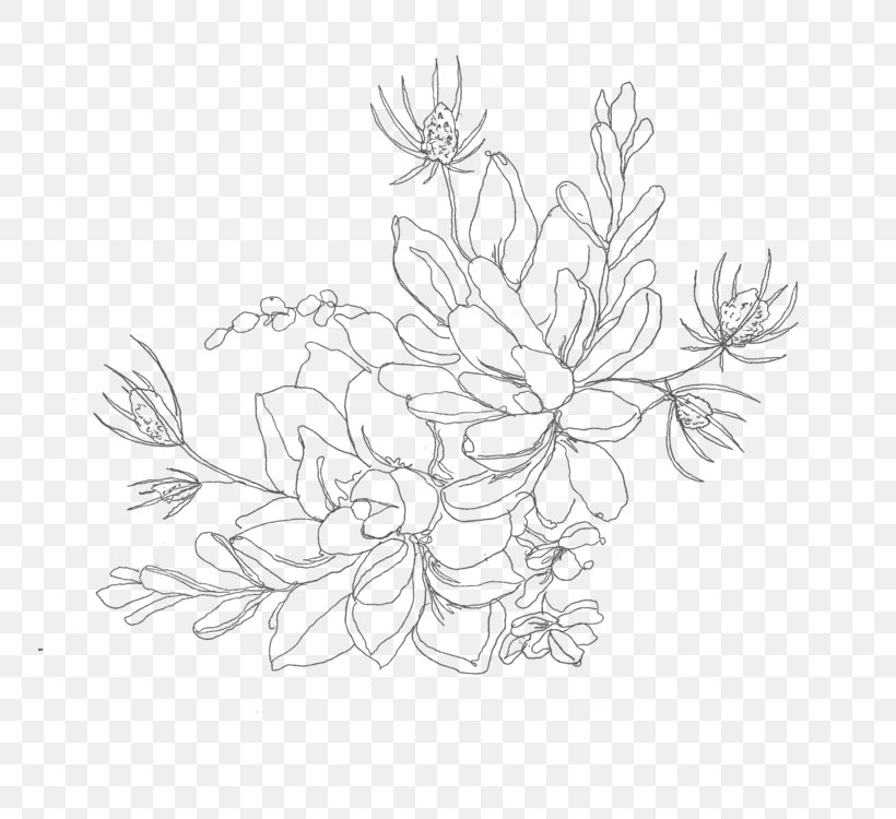 Line Art Drawing Succulent Plant Illustration, PNG, 750x750px, Line Art, Art, Blackandwhite, Botanical Illustration, Botany Download Free