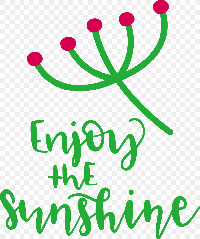 Sunshine Enjoy The Sunshine, PNG, 2508x3000px, Sunshine, Floral Design, Green, Happiness, Leaf Download Free