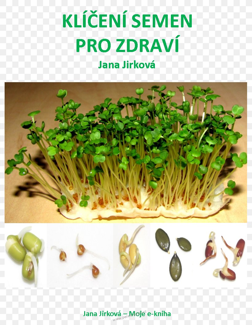 Garden Cress Sprouting Germination Seed Plant, PNG, 789x1056px, Garden Cress, Alfalfa Sprouts, Book, Carrot, Chia Download Free