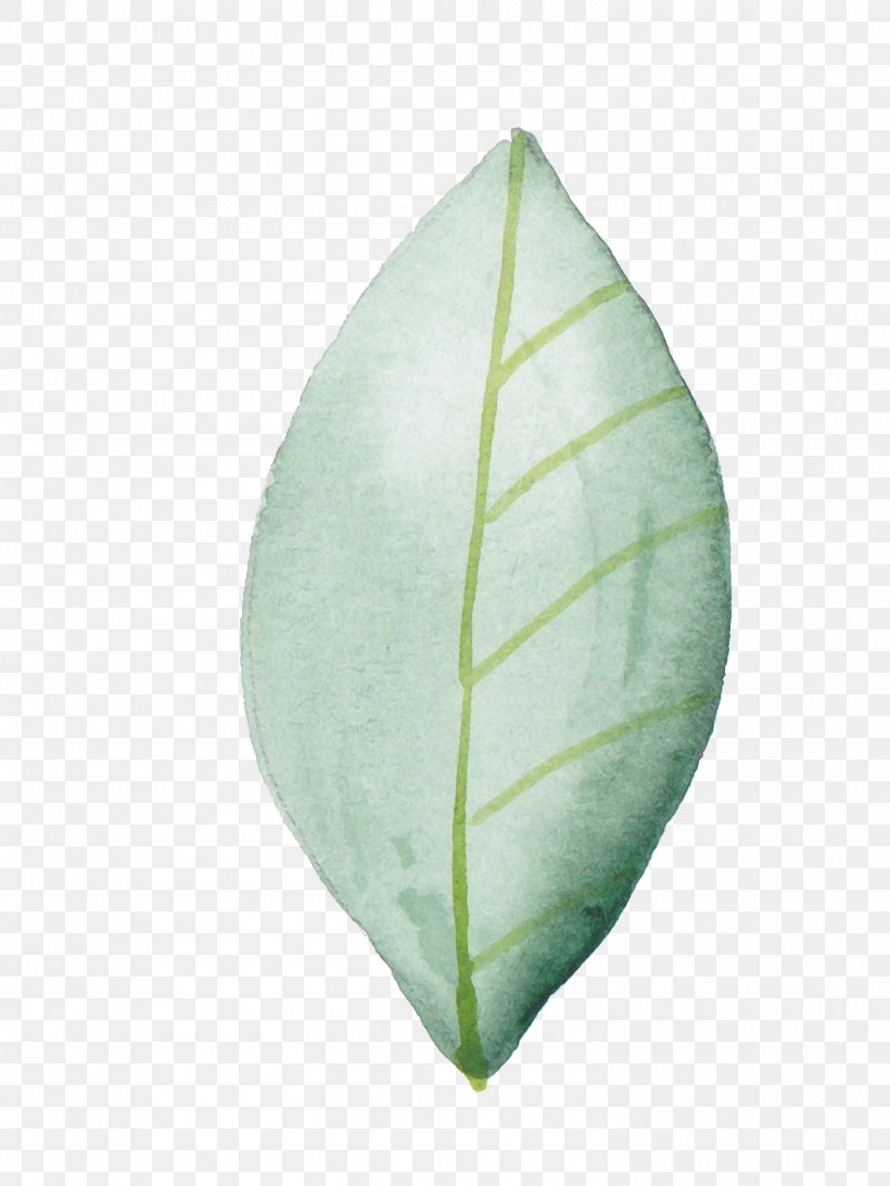 Leaf Painting Image Design Green, PNG, 1500x2000px, Leaf, Designer, Green, Painting, Plant Download Free