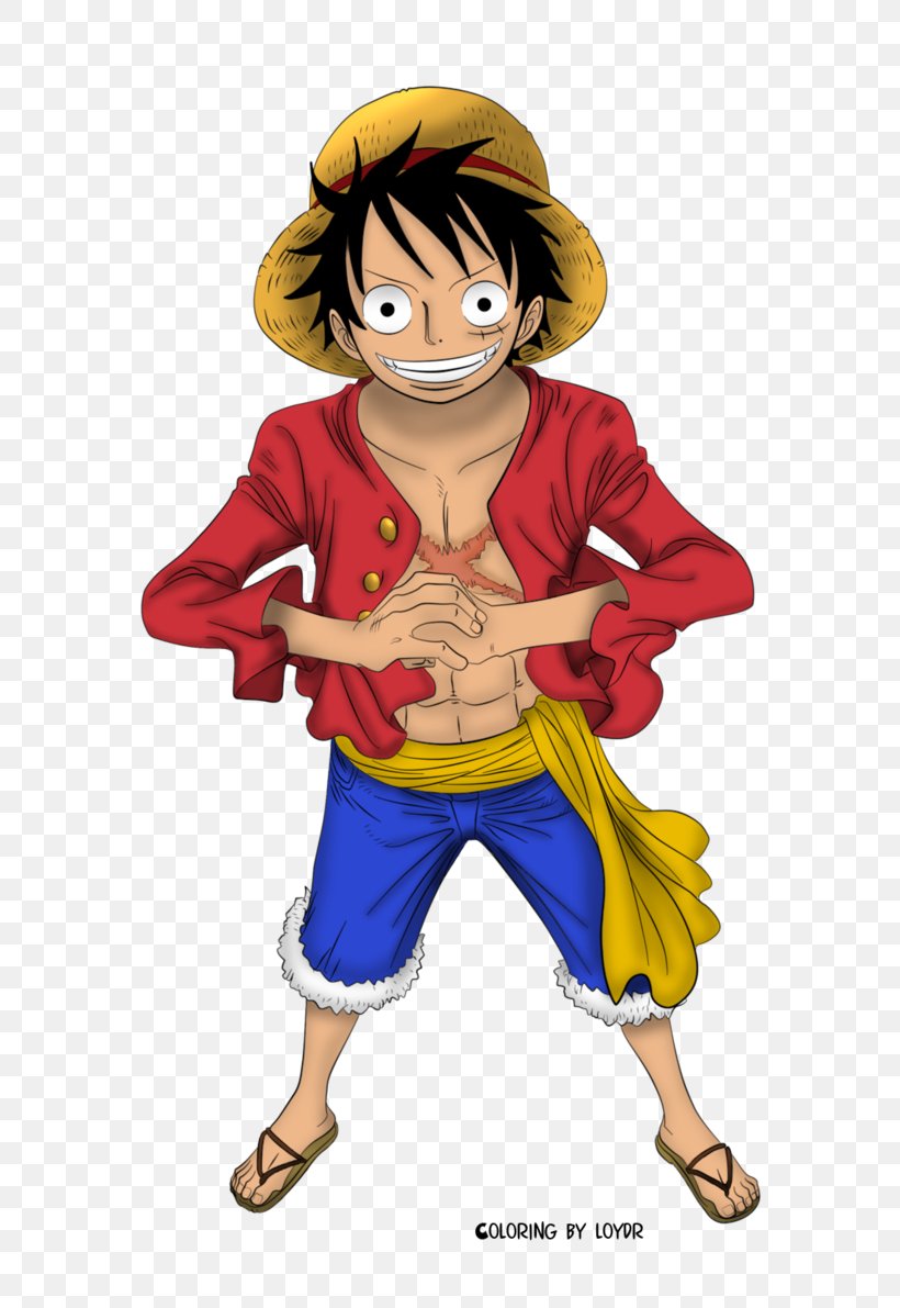 Monkey D. Luffy One Piece: Pirate Warriors Roronoa Zoro Timeskip, PNG, 670x1191px, Watercolor, Cartoon, Flower, Frame, Heart Download Free