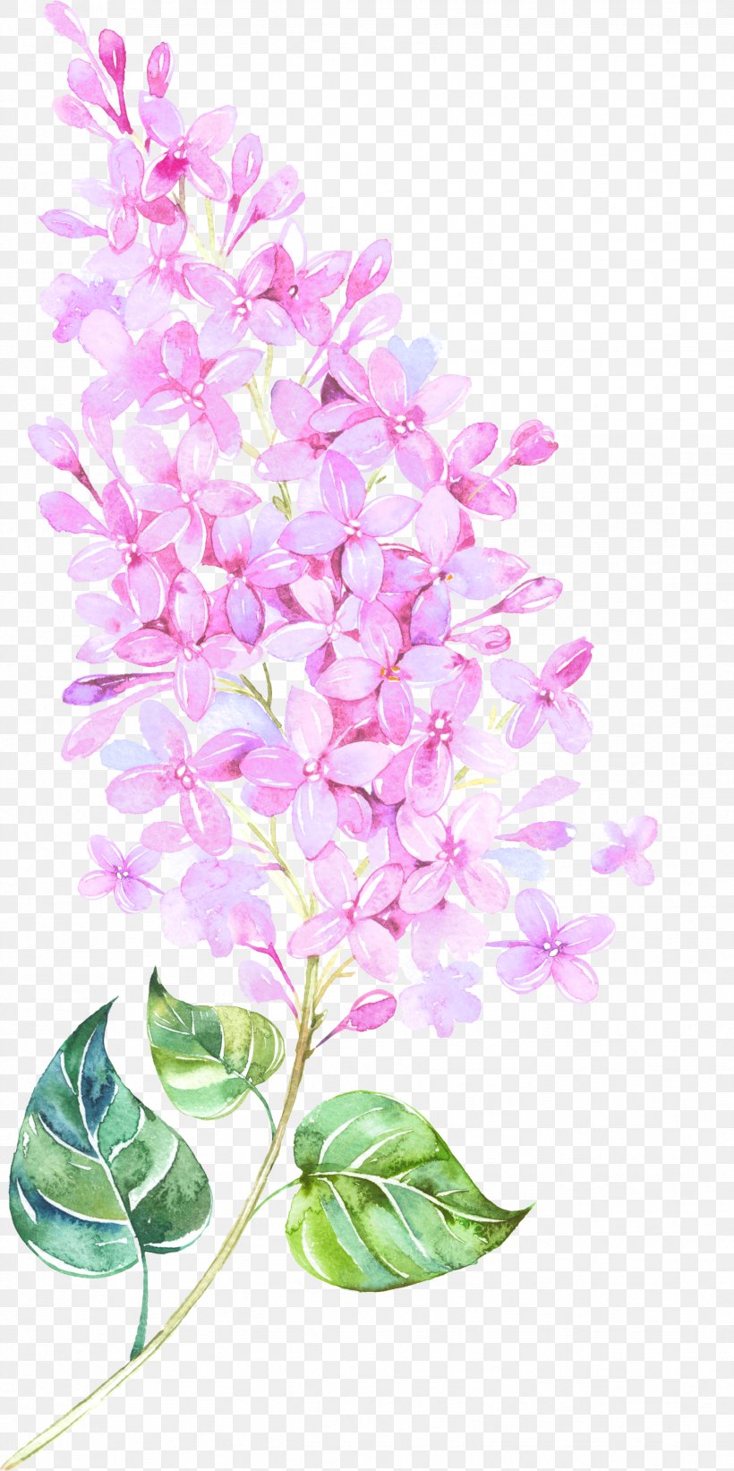 Watercolor Painting Flower Floral Design, PNG, 1729x3466px, Flower, Branch, Color, Cut Flowers, Drawing Download Free