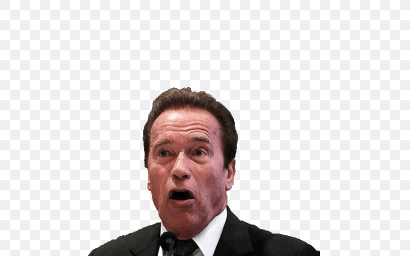 Arnold Schwarzenegger Governor Of California Actor Terminator 2: Judgment Day, PNG, 512x512px, Arnold Schwarzenegger, Actor, Brad Pitt, Businessperson, California Download Free