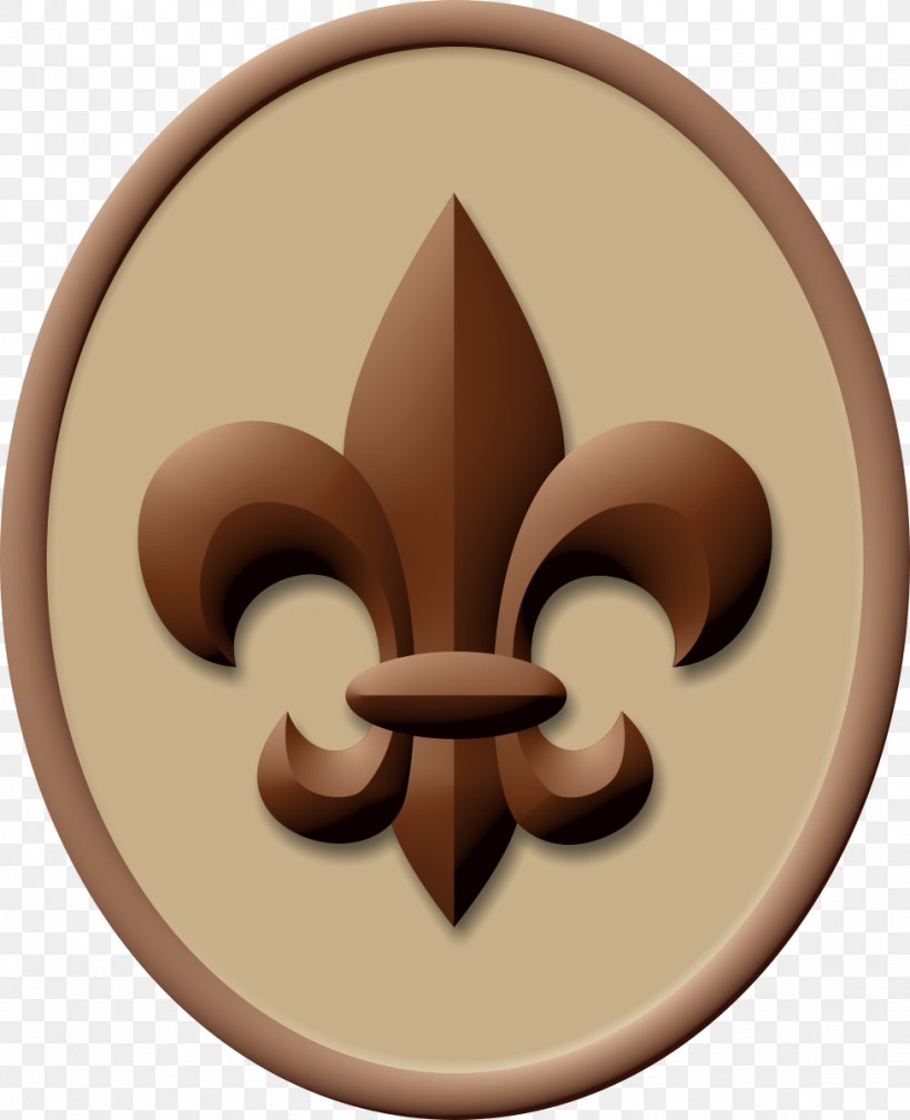 Boy Scout Handbook Ranks In The Boy Scouts Of America Scouting Eagle Scout, PNG, 975x1200px, Boy Scout Handbook, Badge, Boy Scouts Of America, Cub Scout, Cub Scouting Download Free