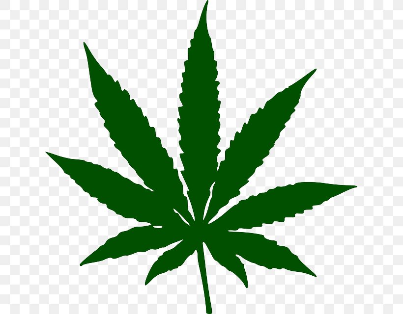 Cannabis Sativa Marijuana Leaf Clip Art, PNG, 635x640px, Cannabis, Cannabis Sativa, Grass, Hash Oil, Hemp Download Free