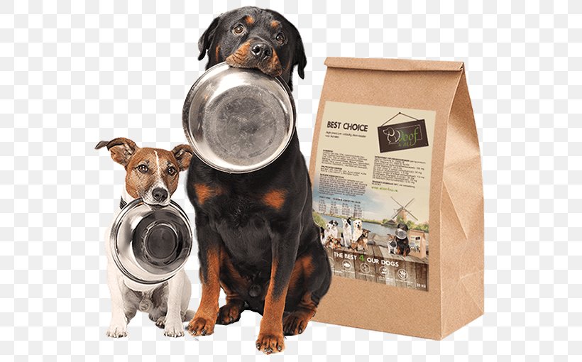 Dog Food Cat Food Pet, PNG, 562x510px, Dog, Assistance Dog, Carnivoran, Cat, Cat Food Download Free