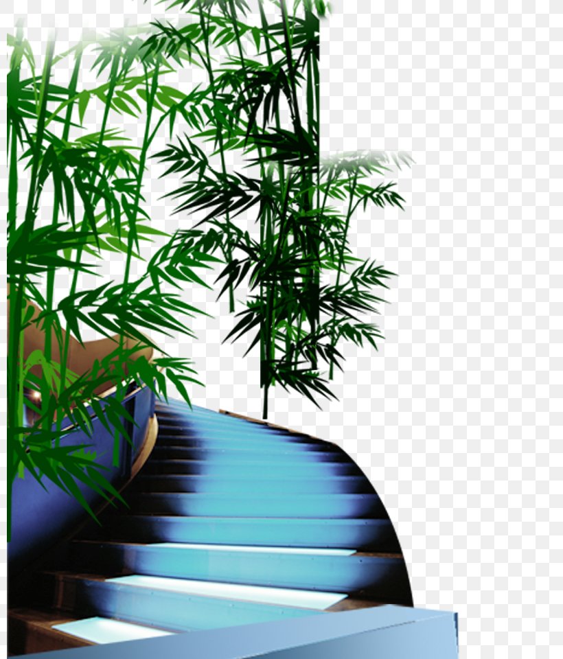 Icon, PNG, 800x960px, Bamboo, Computer, Designer, Flowerpot, Grass Download Free