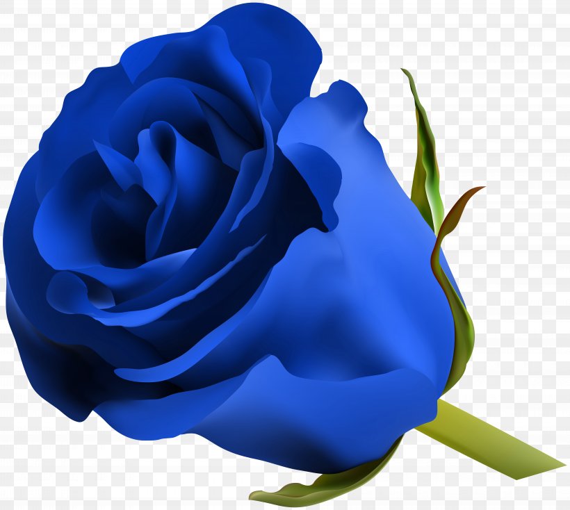 Rose Flower Clip Art, PNG, 8000x7168px, Blue Rose, Blue, Close Up, Cobalt Blue, Cut Flowers Download Free