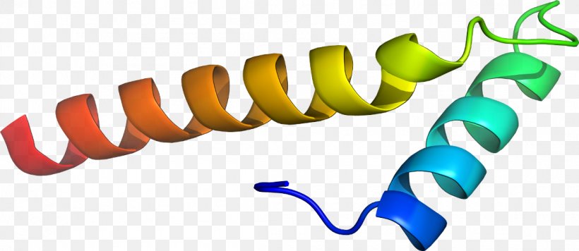 Bovine Serum Albumin Clip Art, PNG, 1150x500px, Bovine Serum Albumin, Albumin, Artwork, Bovinae, Organism Download Free