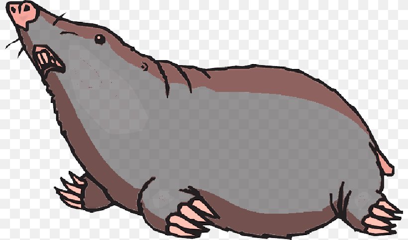 Clip Art Free Content Moles Image, PNG, 800x483px, Moles, California Sea Lion, Cartoon, Ferret, Marine Mammal Download Free