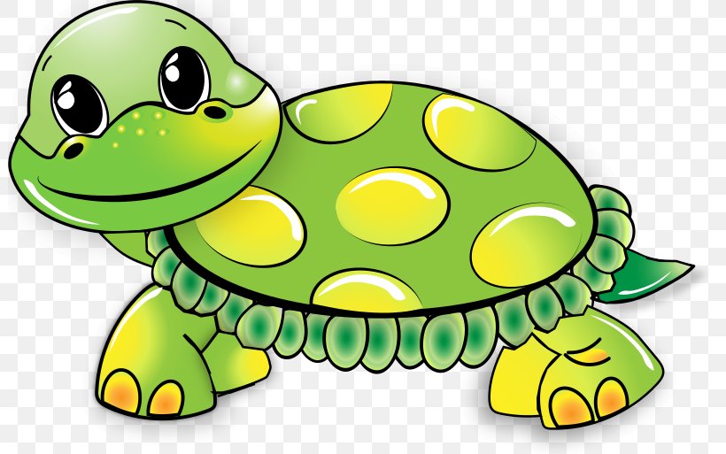 Turtle Clip Art Free Content Image, PNG, 801x513px, Turtle, Amphibian, Artwork, Cartoon, Drawing Download Free