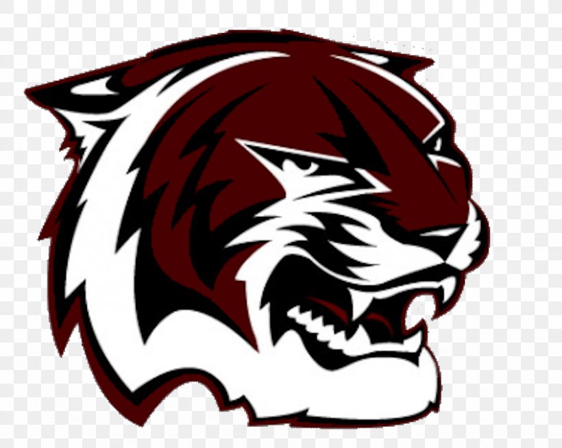 A&M Consolidated High School National Secondary School Bryan Education, PNG, 923x737px, Am Consolidated High School, Bryan, Carnivoran, Cat Like Mammal, College Station Download Free