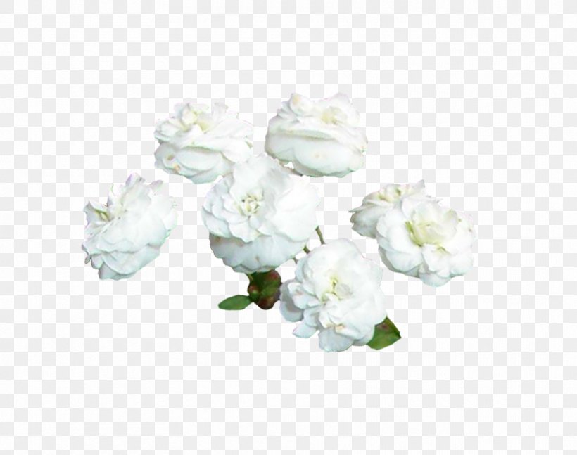 Floral Design Vase Cut Flowers Porcelain, PNG, 858x678px, Floral Design, Artificial Flower, Blossom, Bud, Cut Flowers Download Free