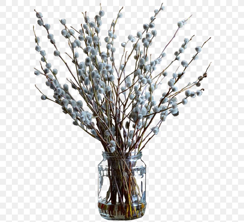 Flower Willow Clip Art, PNG, 615x745px, Flower, Branch, Daphne Willow, Digital Image, Dots Per Inch Download Free