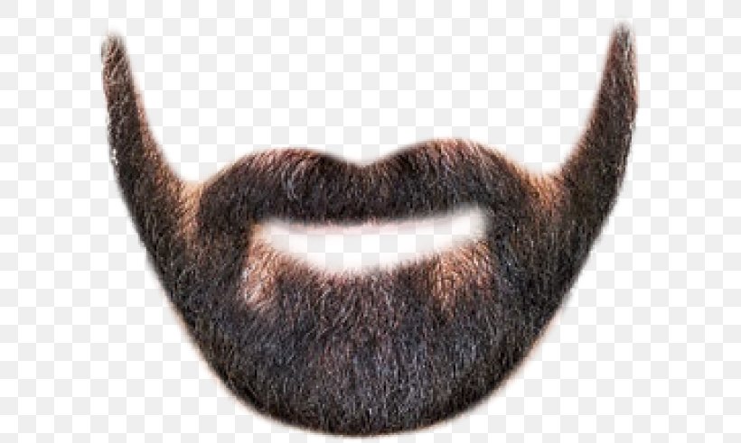 Beard Moustache Clip Art Shaving, PNG, 800x491px, Beard, Barber, Cabelo, Cat, Facial Hair Download Free