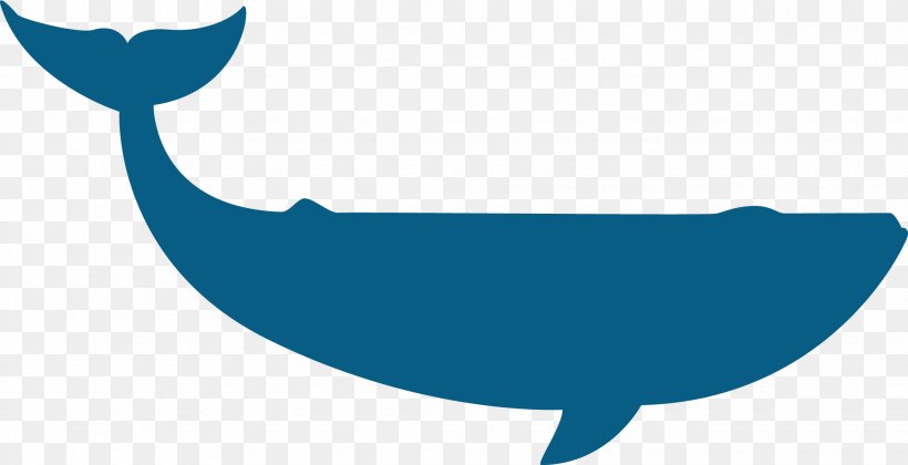 Dolphin Whale Google Images, PNG, 1950x1001px, Dolphin, Animal, Blue, Fish, Google Images Download Free