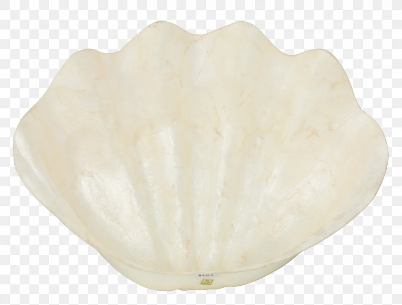 Mateus Ceramic Artifact .de Seashell, PNG, 1449x1100px, Mateus, Artifact, Ceramic, Color, Minta Download Free