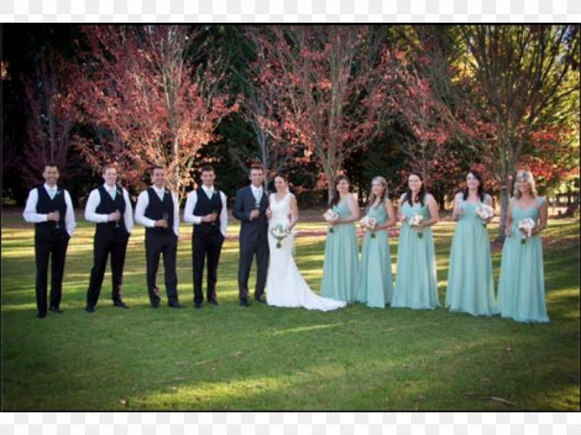 Wedding Lawn Backyard Bride, PNG, 1200x900px, Wedding, Backyard, Bride, Ceremony, Event Download Free