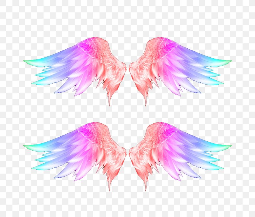 Wings Feather Download, PNG, 700x700px, Wing, Angel, Data, Feather, Google Images Download Free