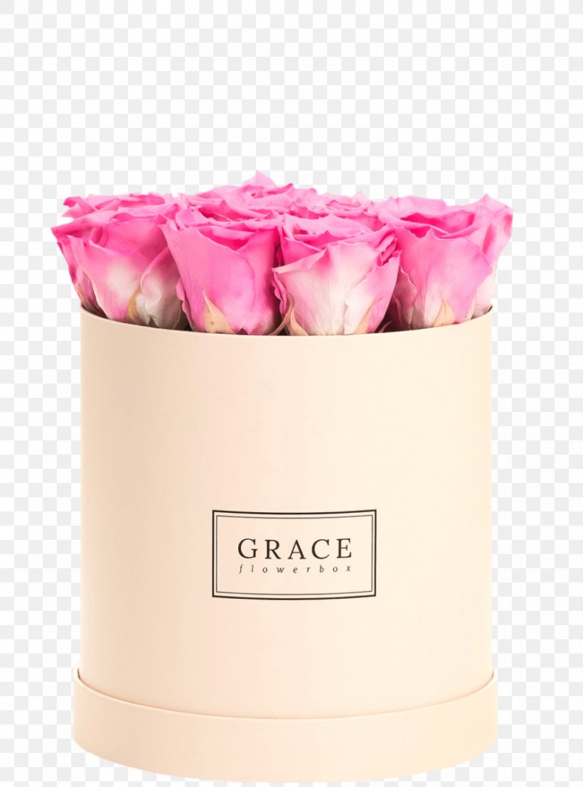 Flower Box English Rose Pink, PNG, 888x1200px, Flower Box, Blue, Box, David Ch Austin, English Rose Download Free