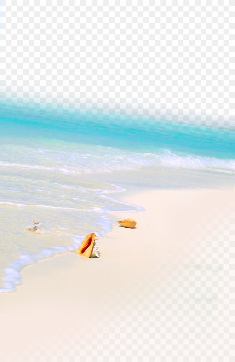 Sea Beach Shore, PNG, 2600x4000px, Shore, Beach, Calm, Daytime, Ocean Download Free
