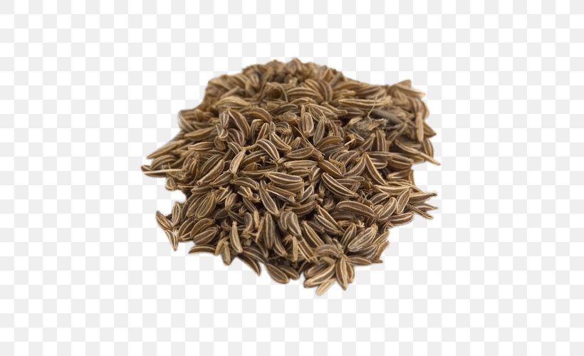 Dill Oil Seed Cumin Spice, PNG, 500x500px, Dill, Bird Food, Black Cumin, Bread, Caraway Download Free