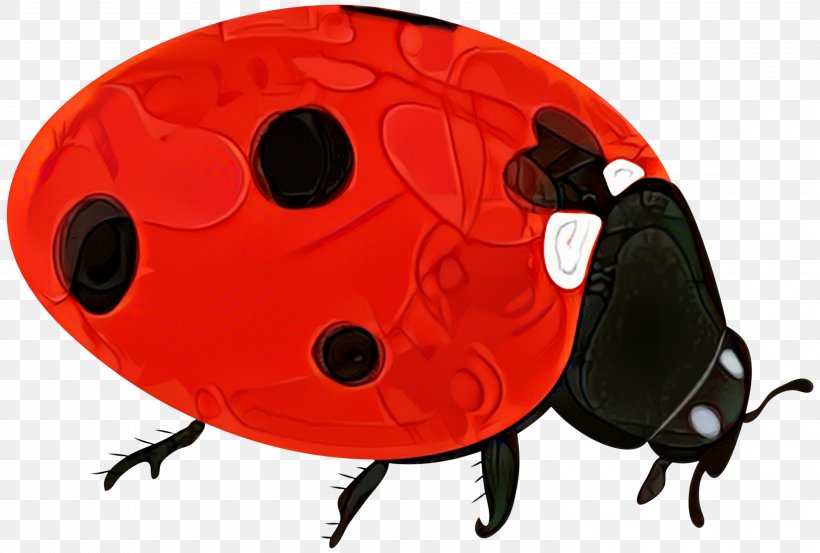 Beetle Product Design Lady Bird, PNG, 2999x2023px, Beetle, Insect, Invertebrate, Lady Bird, Ladybug Download Free
