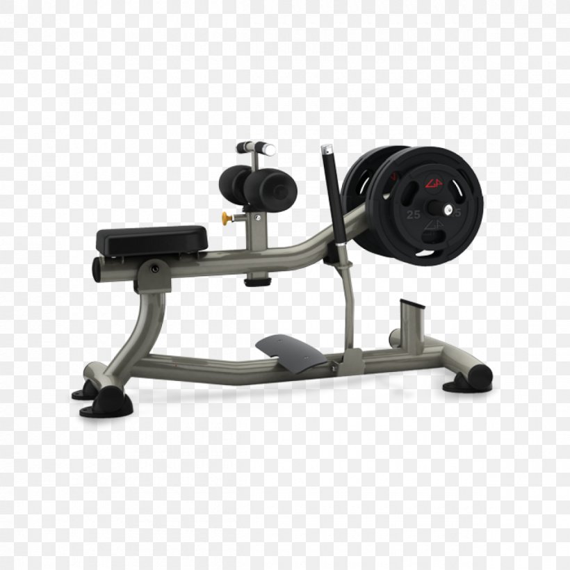 Calf Raises Exercise Equipment Bench Fitness Centre, PNG, 1200x1200px, Calf Raises, Bench, Bodybuilding, Calf, Exercise Download Free