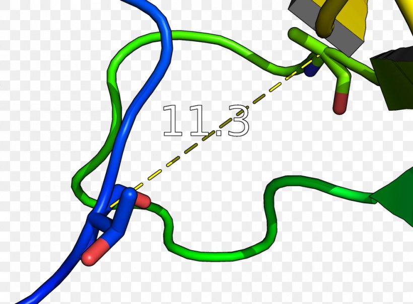 Distance PyMOL Measurement Length Computer Software, PNG, 988x728px, Distance, Acid, Alpha And Beta Carbon, Amino Acid, Atom Download Free