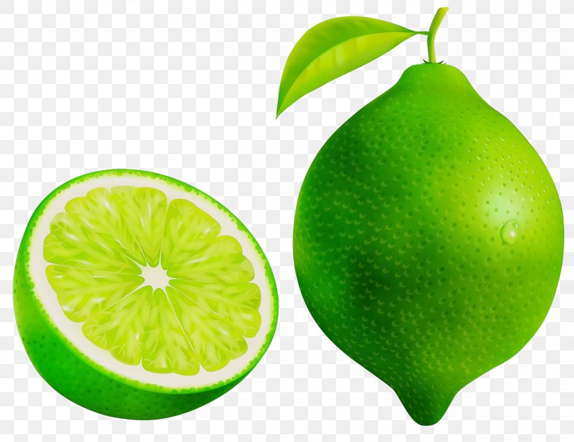 Persian Lime Fruit Green Citrus Lime, PNG, 2609x2008px, Watercolor, Citrus, Food, Fruit, Green Download Free
