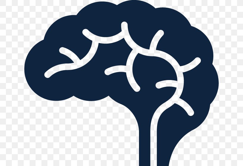 Clip Art Brain Image, PNG, 800x560px, Brain, Branch, Electric Blue, Human Brain, Neuroimaging Download Free