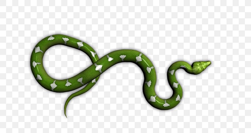 Boa Constrictor Snake Boas Amphibian Animal, PNG, 723x436px, Boa Constrictor, Amphibian, Animal, Boas, Com Download Free