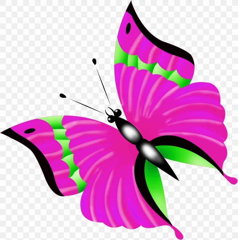 Butterfly Photography Clip Art, PNG, 1190x1200px, Butterfly, Brush Footed Butterfly, Butterflies And Moths, Color, Flower Download Free