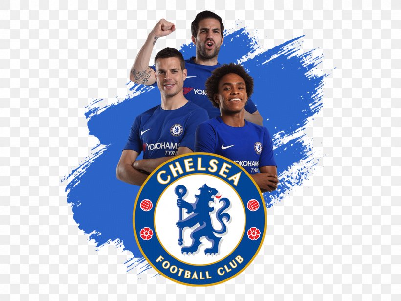 Chelsea F.C. UEFA Champions League FA Youth Cup Football Sport, PNG, 1200x900px, Chelsea Fc, Association, Blue, Brand, Championship Download Free