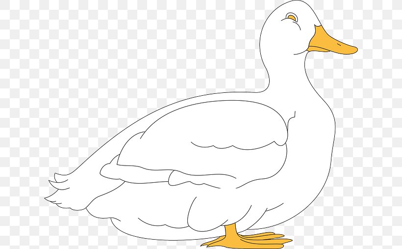 Duck Goose Cygnini Chicken Bird, PNG, 640x507px, Duck, Animal, Animal Figure, Artwork, Beak Download Free