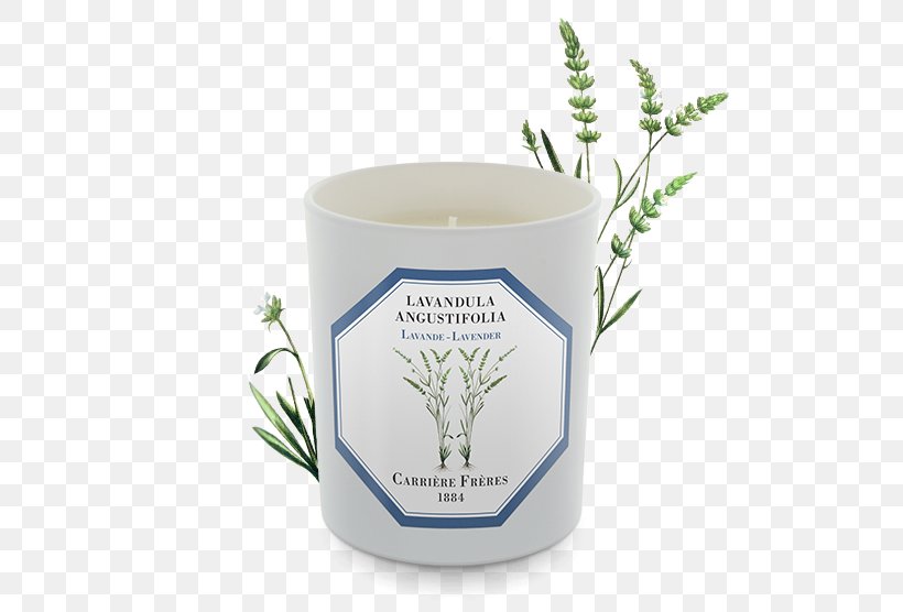 English Lavender Candle Perfume Thyme Grasse, PNG, 556x556px, English Lavender, Aroma Compound, Candle, Cup, Flowerpot Download Free