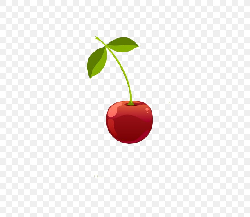 Cherry Computer File, PNG, 550x712px, Cherry, Animation, Cartoon, Drawing, Food Download Free