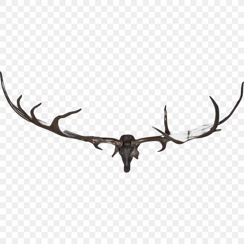 Elk Aynhoe Park Deer Horn Antler, PNG, 1061x1061px, Elk, Antler, Art, Aynho, Aynhoe Park Download Free