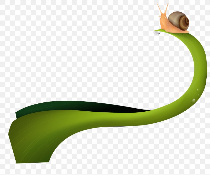 Green Curve, PNG, 2093x1742px, Green, Curve, Drawing, Grass Download Free
