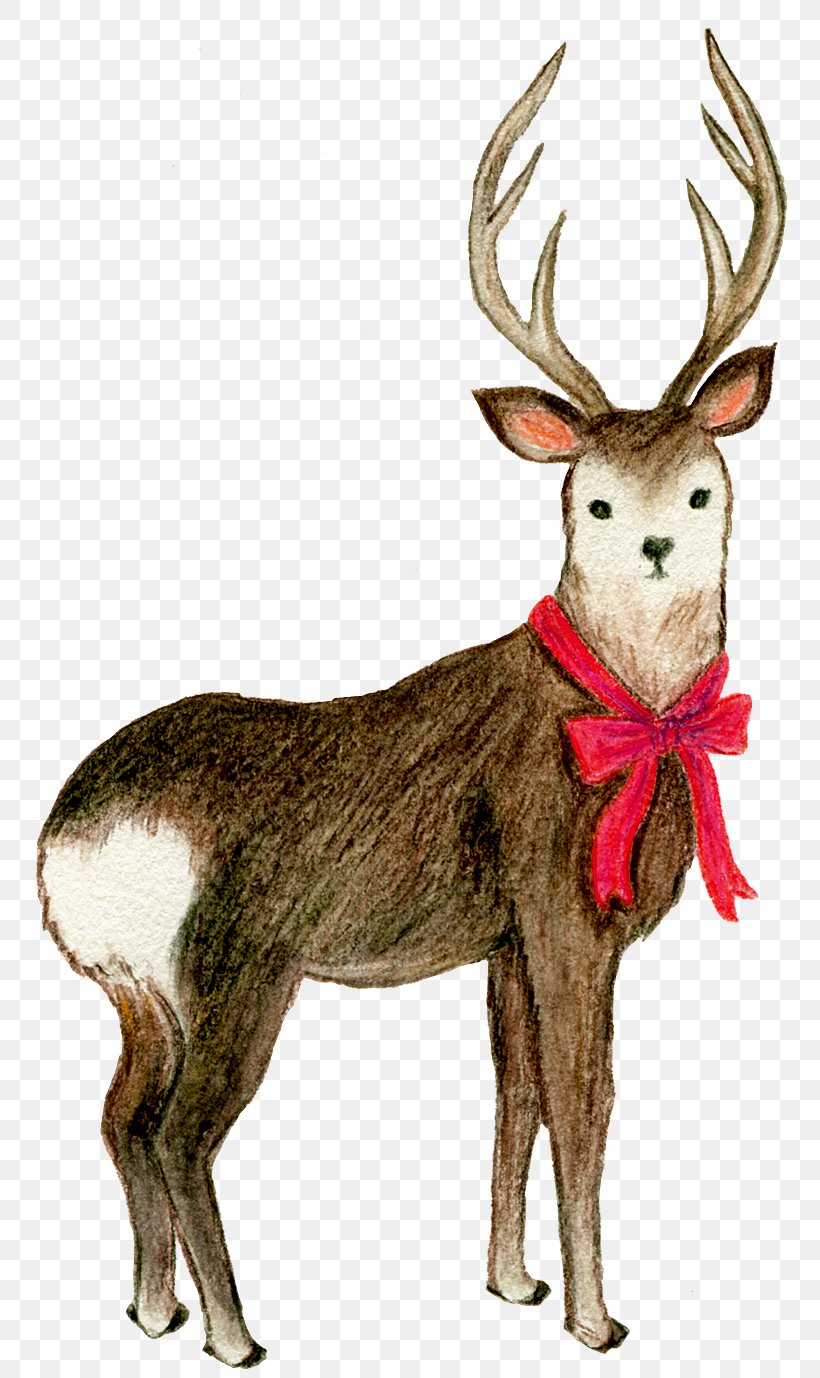 Reindeer Elk Butterfly White-tailed Deer, PNG, 814x1378px, Reindeer, Animal, Animal Figure, Antler, Butterfly Download Free