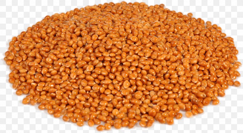 Seasoned Salt Seasoning Spice Cereal, PNG, 1024x563px, Seasoned Salt, Bean, Celery Salt, Cereal, Cereal Germ Download Free