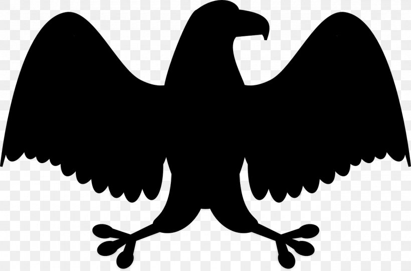 Bald Eagle White-tailed Eagle Bird Clip Art, PNG, 1280x844px, Bald Eagle, Accipitriformes, Beak, Bird, Bird Of Prey Download Free