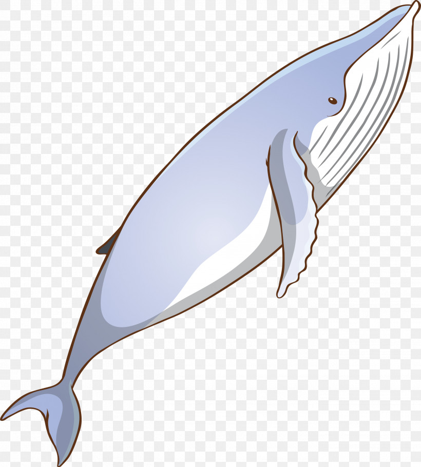 Bottlenose Dolphin Fin Blue Whale Cetacea Dolphin, PNG, 2703x3000px, Watercolor Whale, Blue Whale, Bottlenose Dolphin, Cetacea, Common Dolphins Download Free