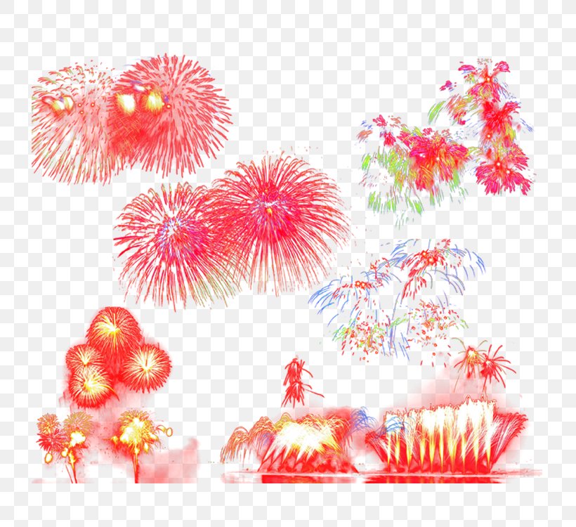 Fireworks Firecracker Festival, PNG, 750x750px, Fireworks, Aquarium Decor, Color, Festival, Fire Download Free