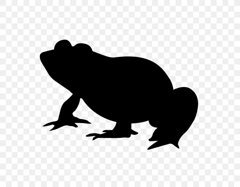 Frog February 29 Clip Art, PNG, 640x640px, Frog, Amphibian, Art, Beak, Black And White Download Free