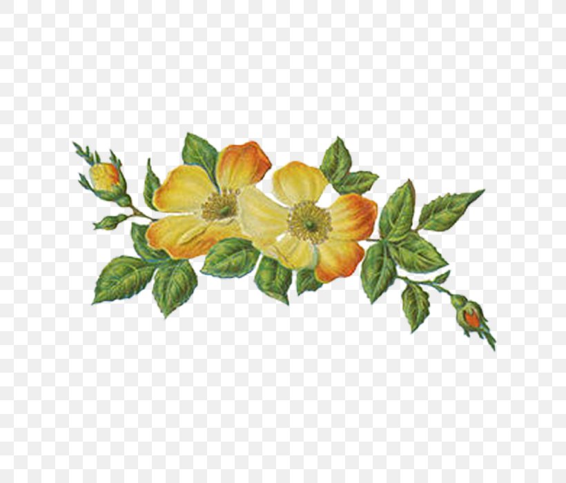 Sleeve Tattoo Flower Temporary Tattoos Abziehtattoo, PNG, 700x700px, Tattoo, Abziehtattoo, Branch, Clock, Floral Design Download Free