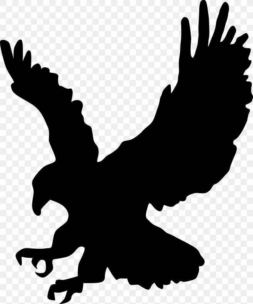 Bald Eagle Silhouette Clip Art, PNG, 2000x2404px, Bald Eagle, Artwork, Beak, Bird, Bird Of Prey Download Free