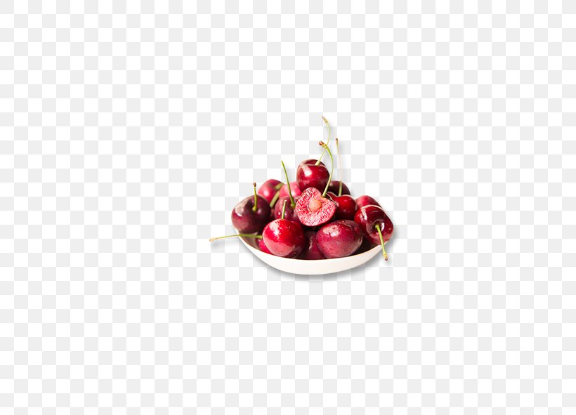 Cherry Blossom Fruit Sour Cherry, PNG, 591x591px, Cherry, Auglis, Berry, Blossom, Cherry Blossom Download Free