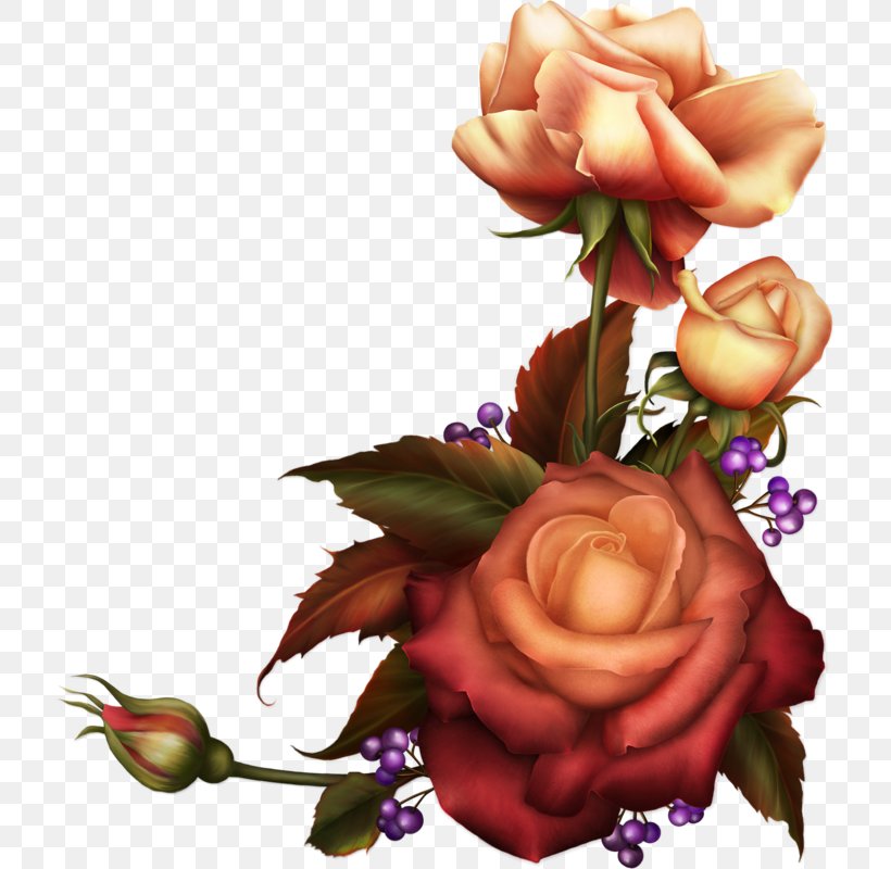 Garden Roses Flower Desktop Wallpaper Clip Art, PNG, 717x800px, Garden Roses, Art, Author, Computer, Cut Flowers Download Free